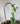 Arch jute trellis with ivy plant