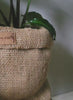 Burlap plant covers with plants on a shelf updating plant pots