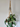 Beaded boho  jute plant hanger hanging against a gray wall