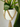 Birkin plant with cross swing jute plant hanger close up